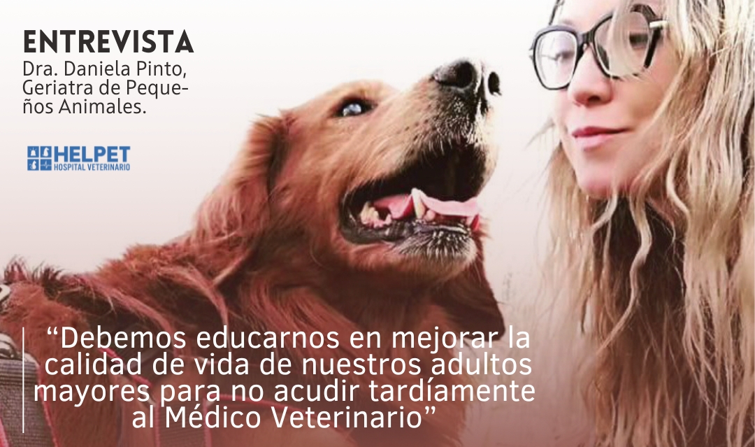 DRA. DANIELA PINTO, GERIATRA VETERINARIO