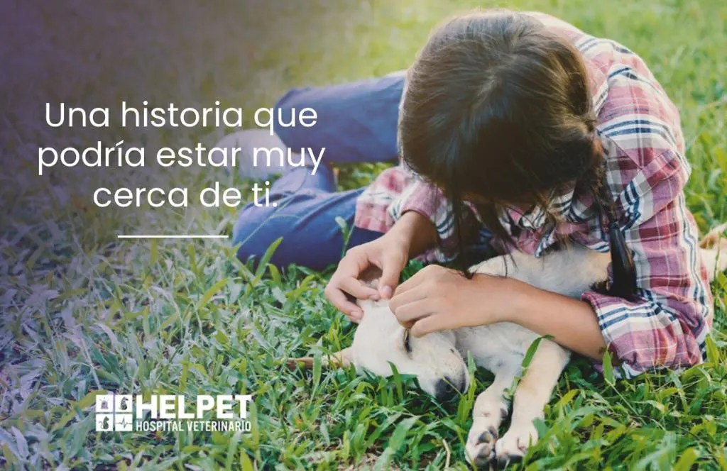 La niña y el perrito