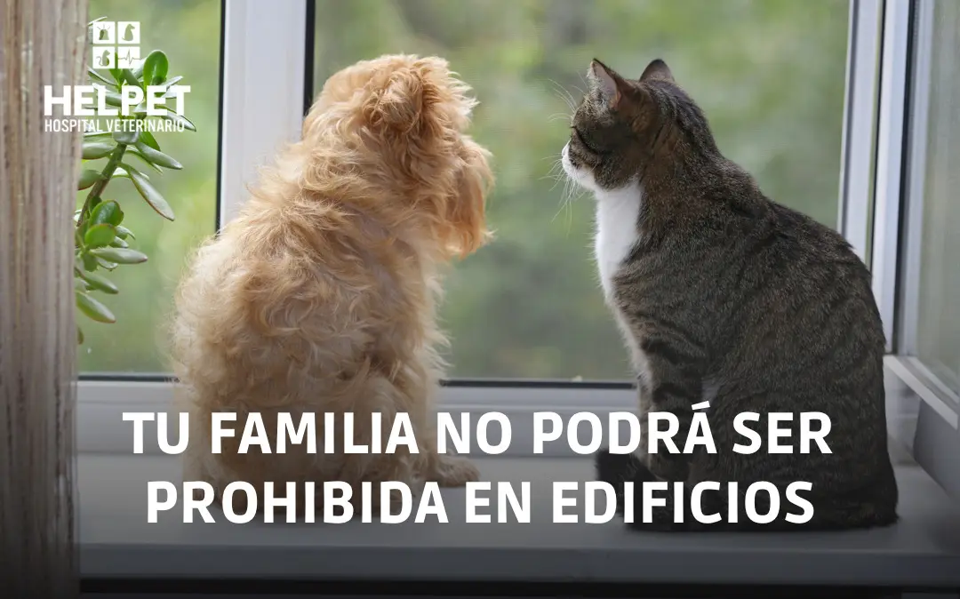Ley de Copropiedad Inmobiliaria