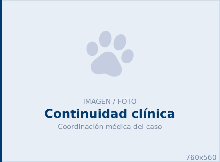 Un equipo que <span>coordina</span> todo el caso