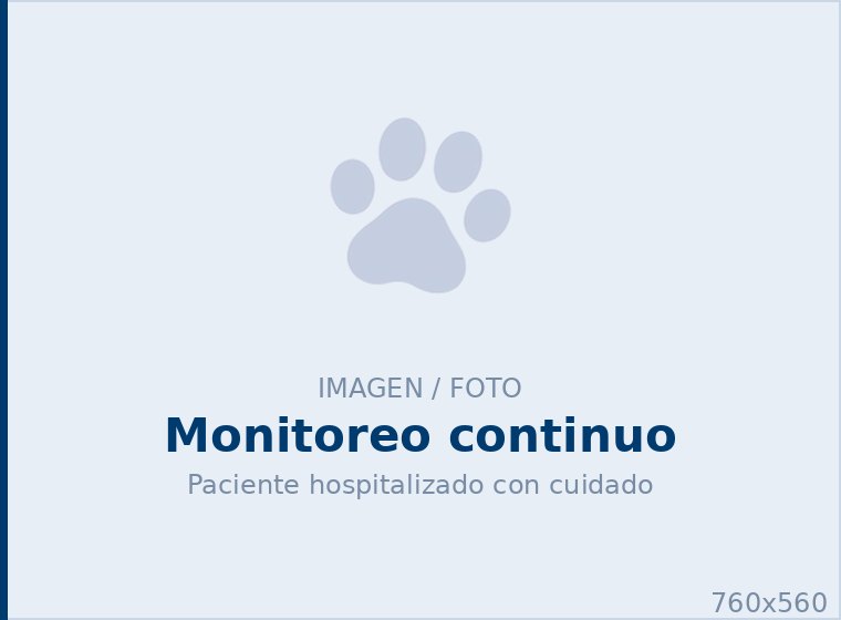 Monitoreo <span>permanente</span>