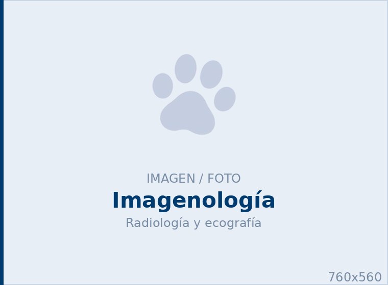 Radiología y <span>ecografía</span>