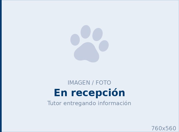 Al llegar, ten a mano esta <span>información</span>
