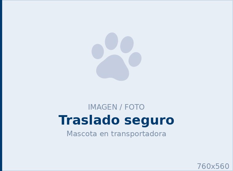 Cómo trasladar a tu mascota con <span>seguridad</span>